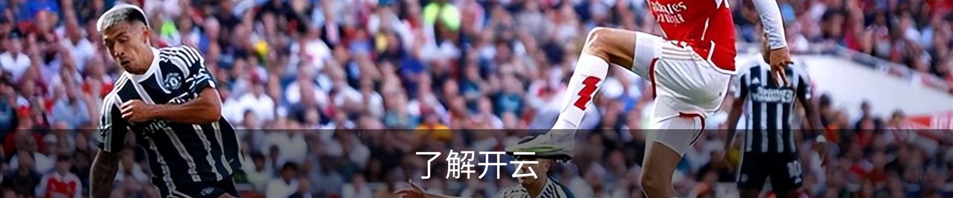了解开云