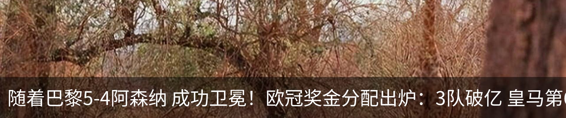 热点资讯