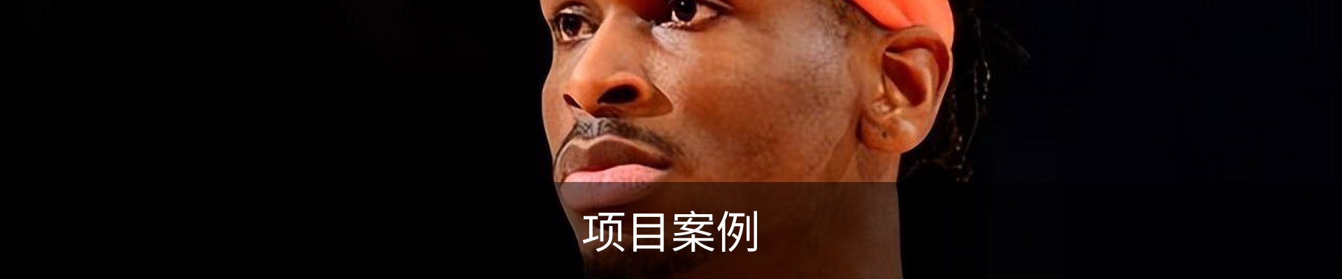 项目案例