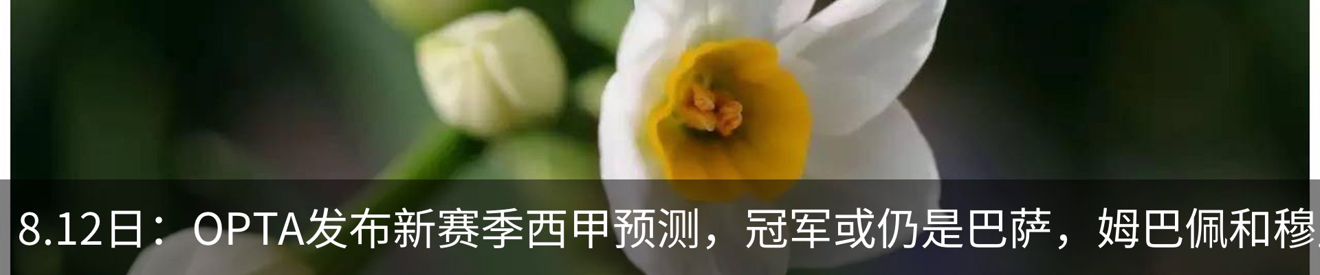 热点资讯