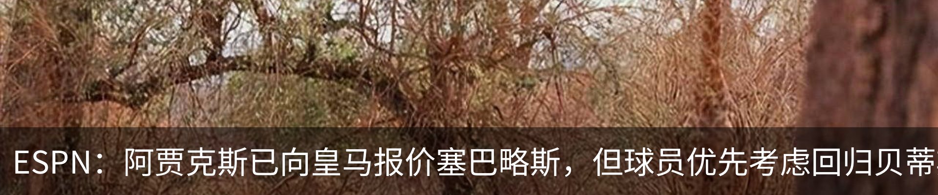 热点资讯